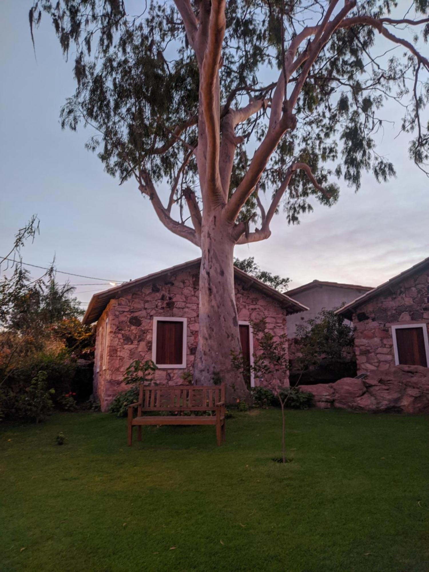 Oforasteiro Villa Mucugê Oda fotoğraf